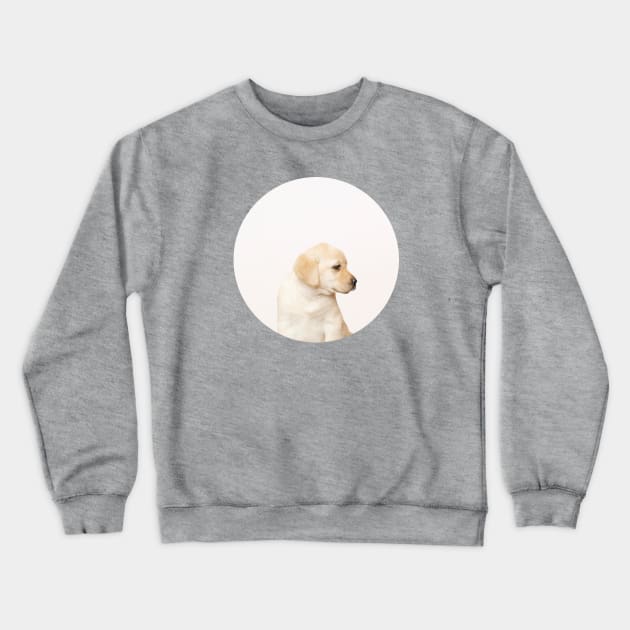 Labby the Labrador dog Crewneck Sweatshirt by Vin Zzep